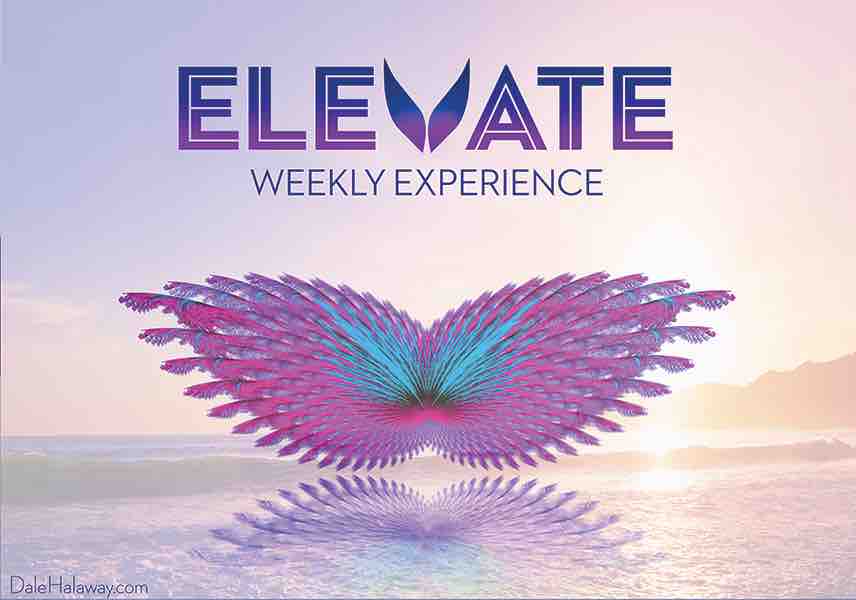 ELEVATE Weekly Experience